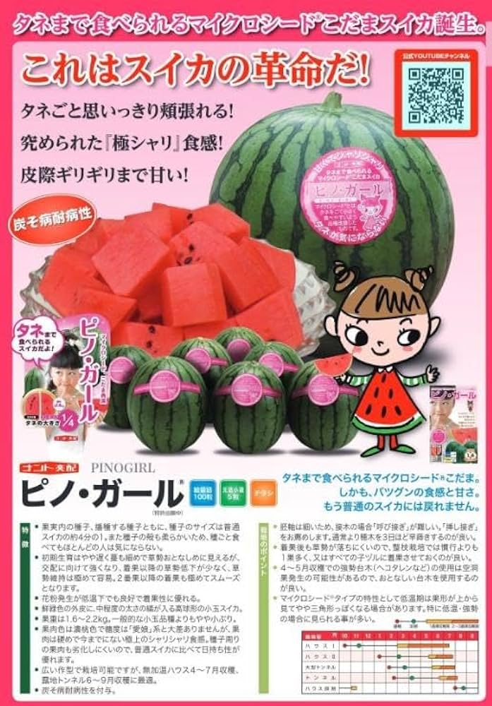 Amazon.co.jp: ナント種苗 小玉スイカ種子 ピノ・ガール 5粒入り